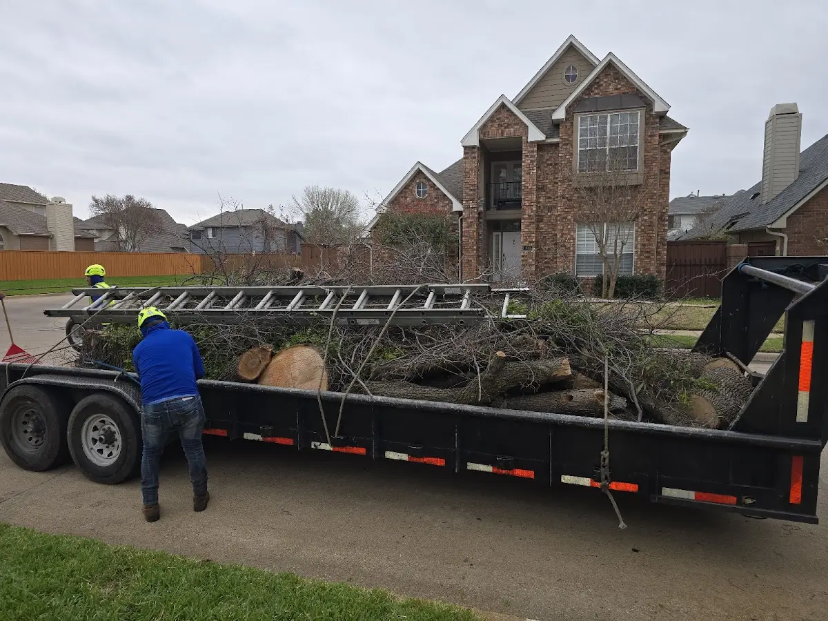Expert Tree Pest Control with proper safety equipment in Kootenai